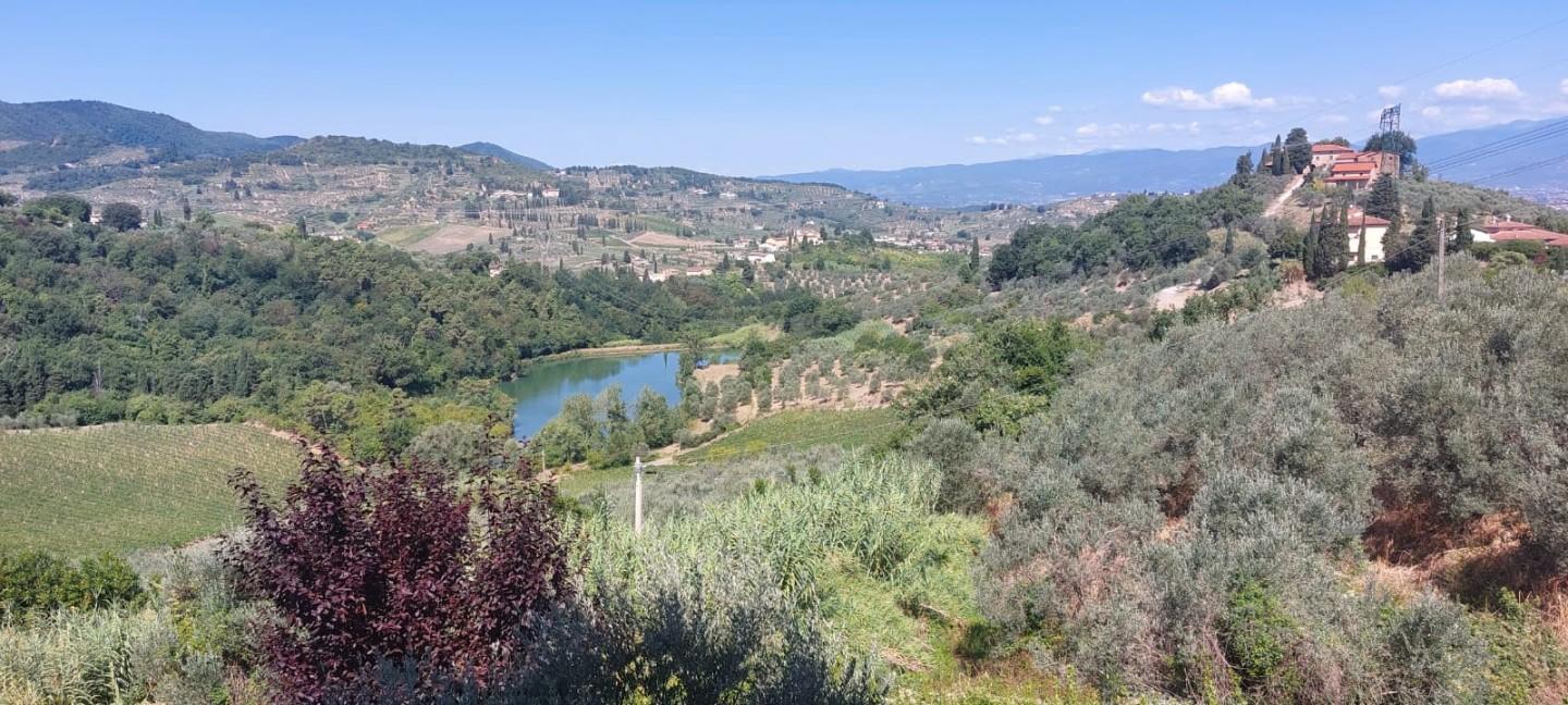 Immagine 9 di Appartamento in affitto  a Carmignano