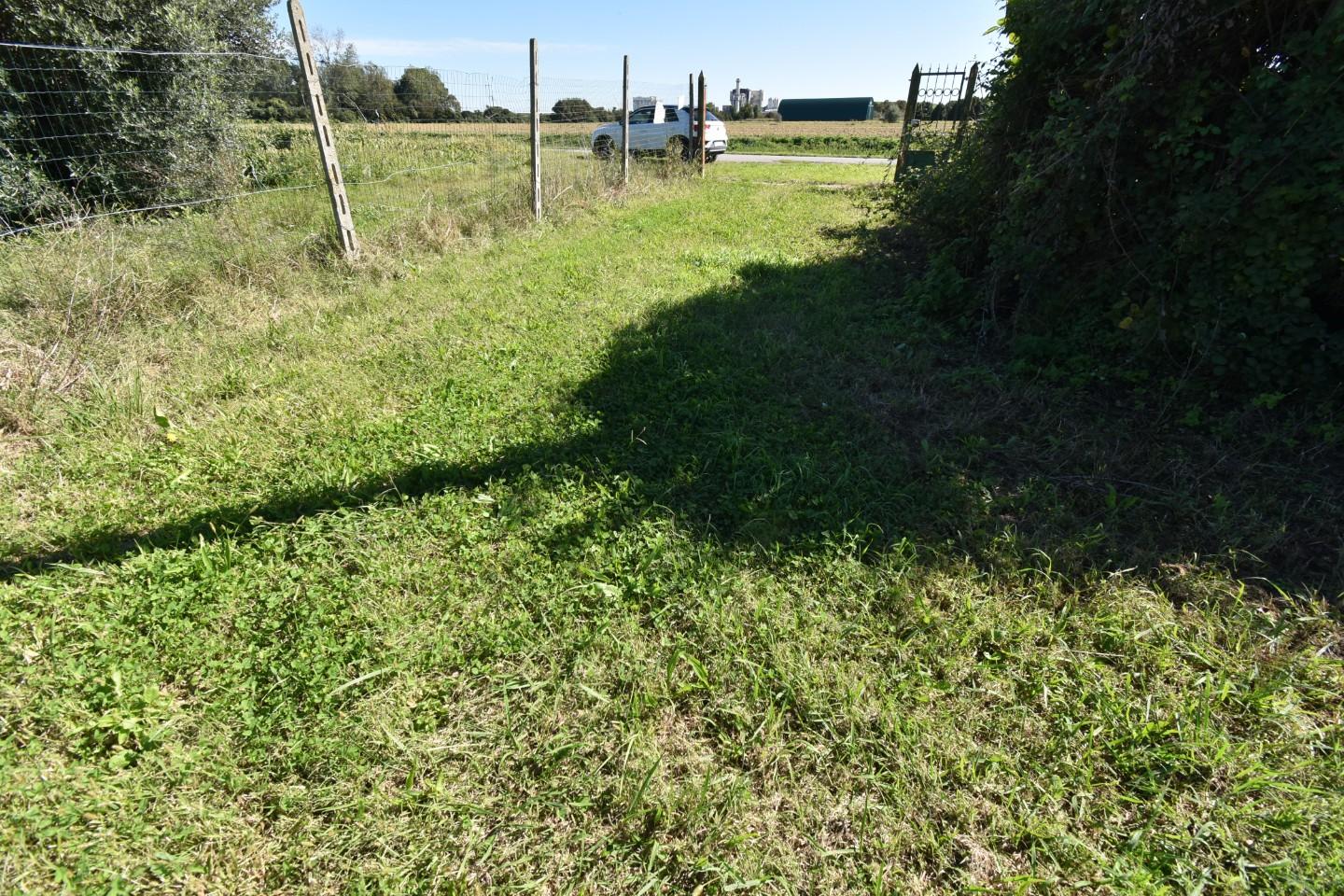 Immagine 31 di Casa indipendente in vendita  a Pisa