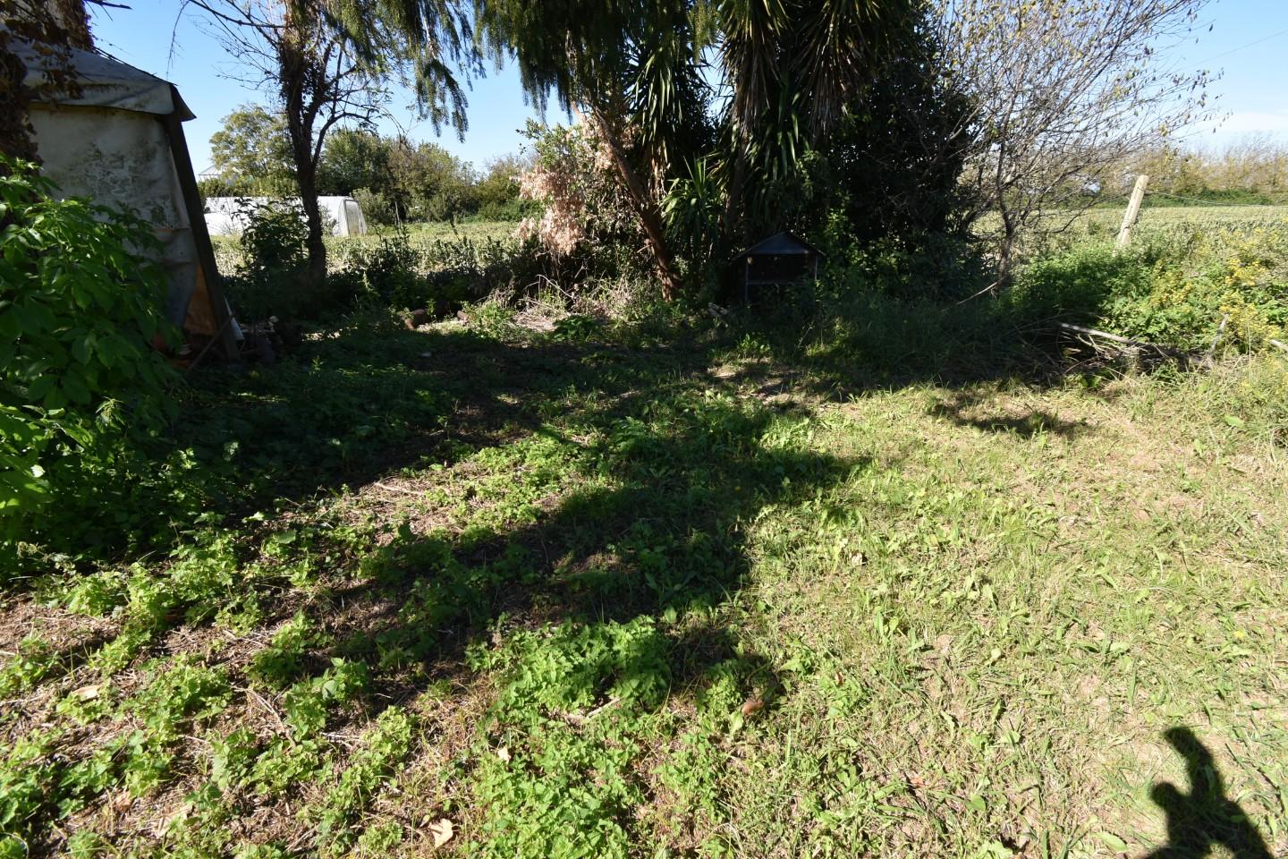 Immagine 29 di Casa indipendente in vendita  a Pisa