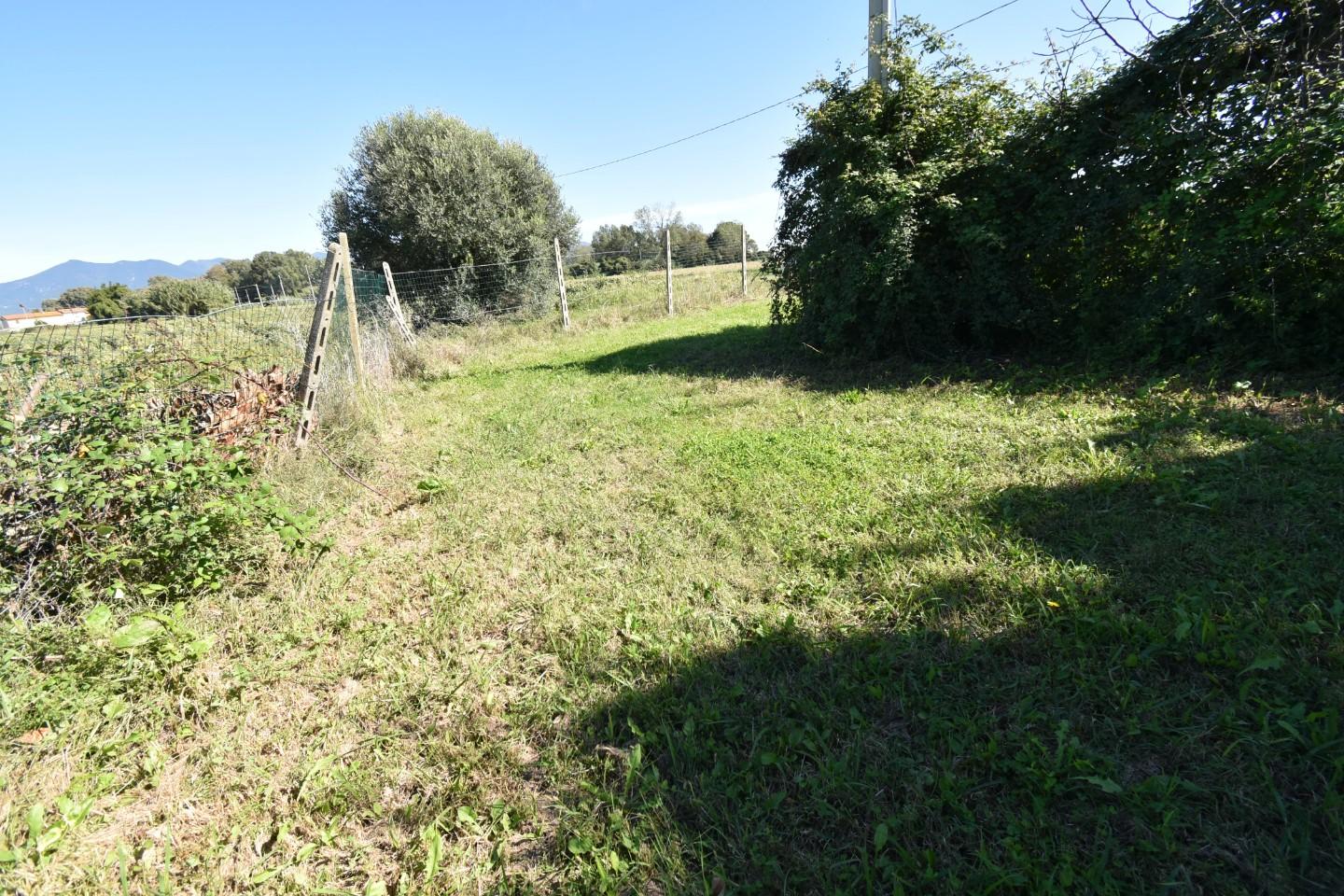 Immagine 30 di Casa indipendente in vendita  a Pisa