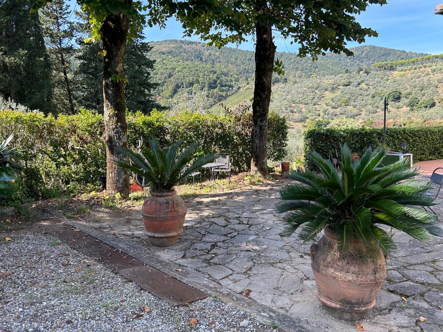 Immagine 63 di Casa colonica in vendita  a Carmignano