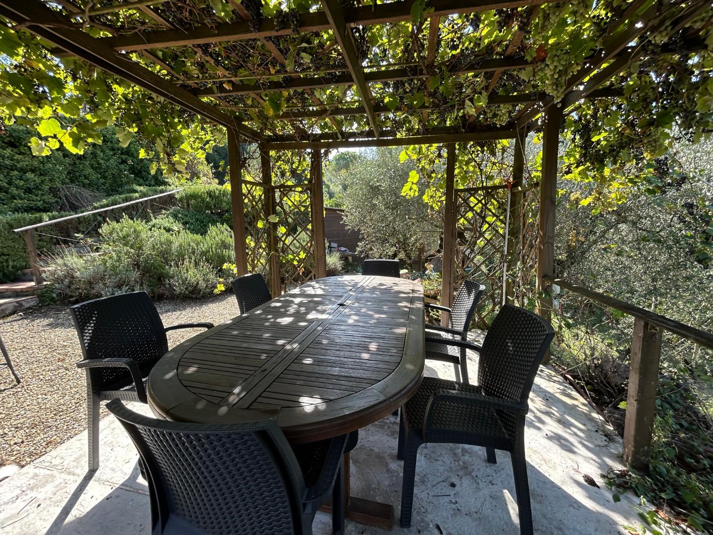 Immagine 42 di Casa colonica in vendita  a Carmignano