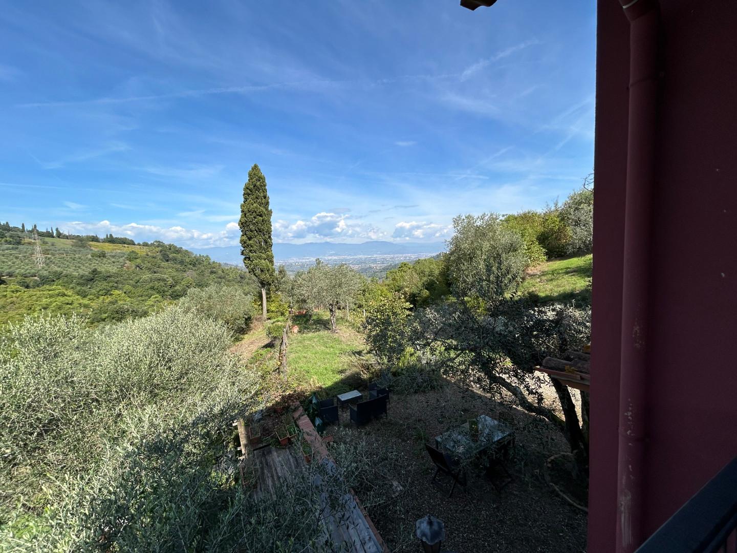 Immagine 59 di Casa colonica in vendita  a Carmignano