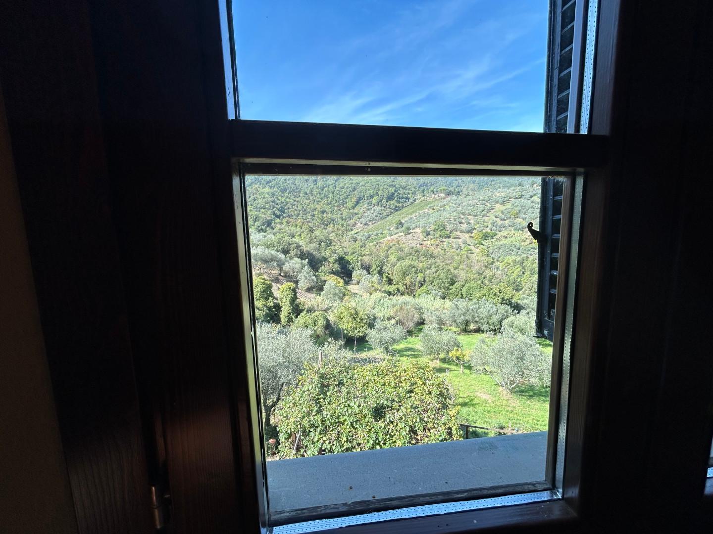 Immagine 9 di Casa colonica in vendita  a Carmignano