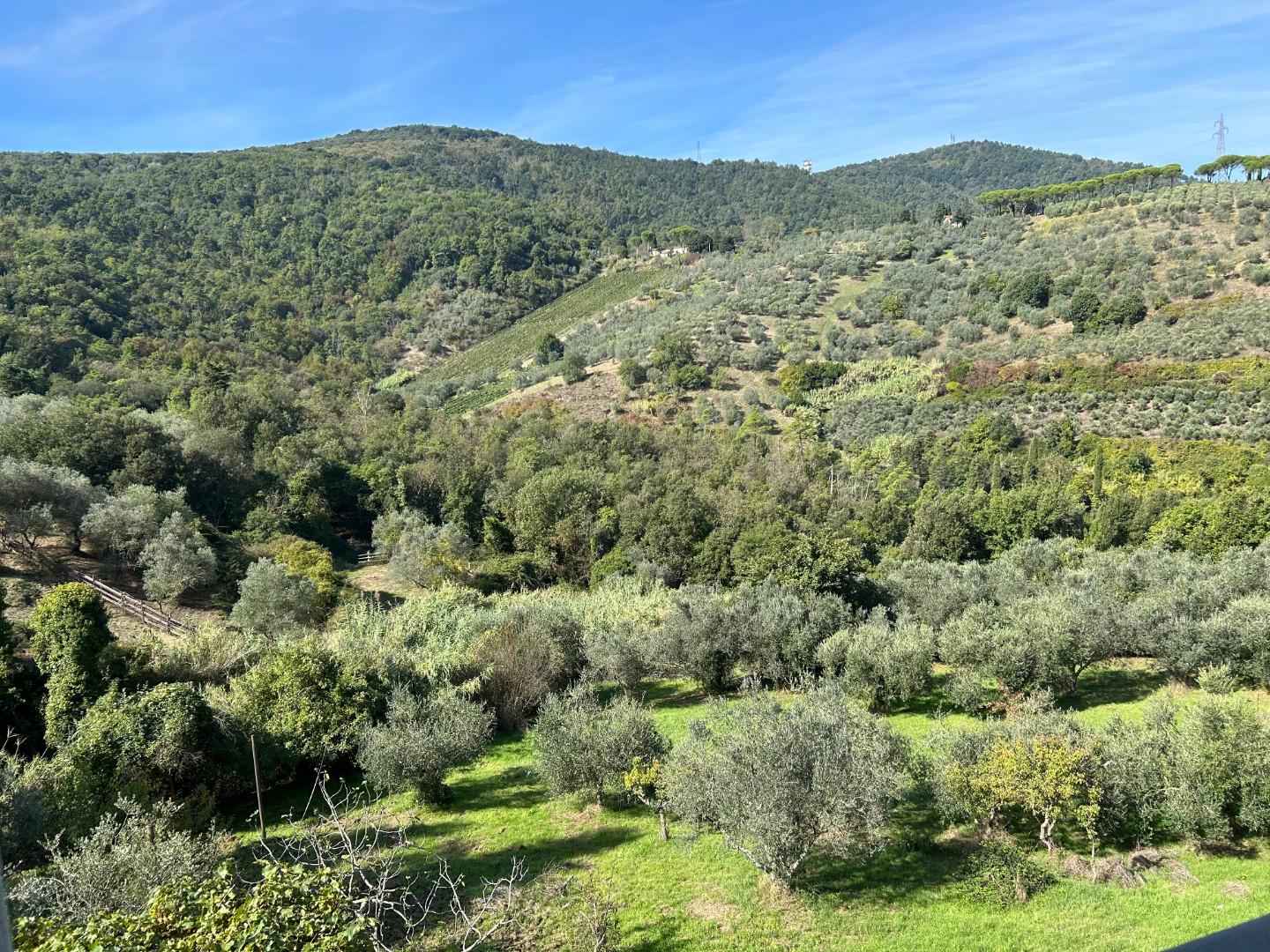 Immagine 14 di Casa colonica in vendita  a Carmignano