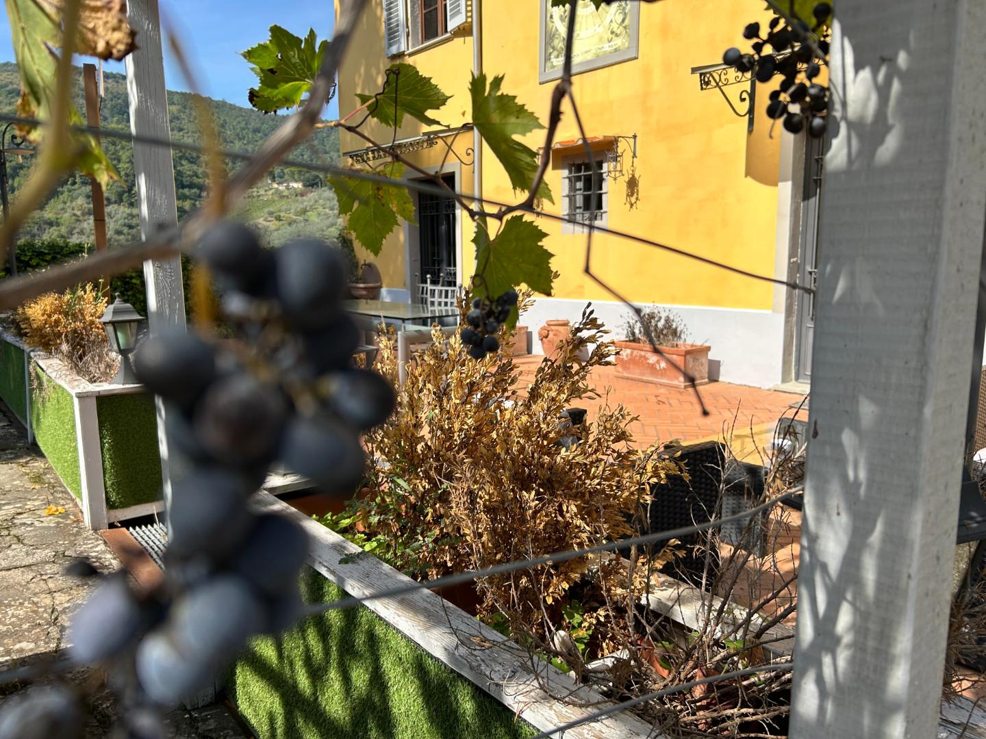 Immagine 61 di Casa colonica in vendita  a Carmignano