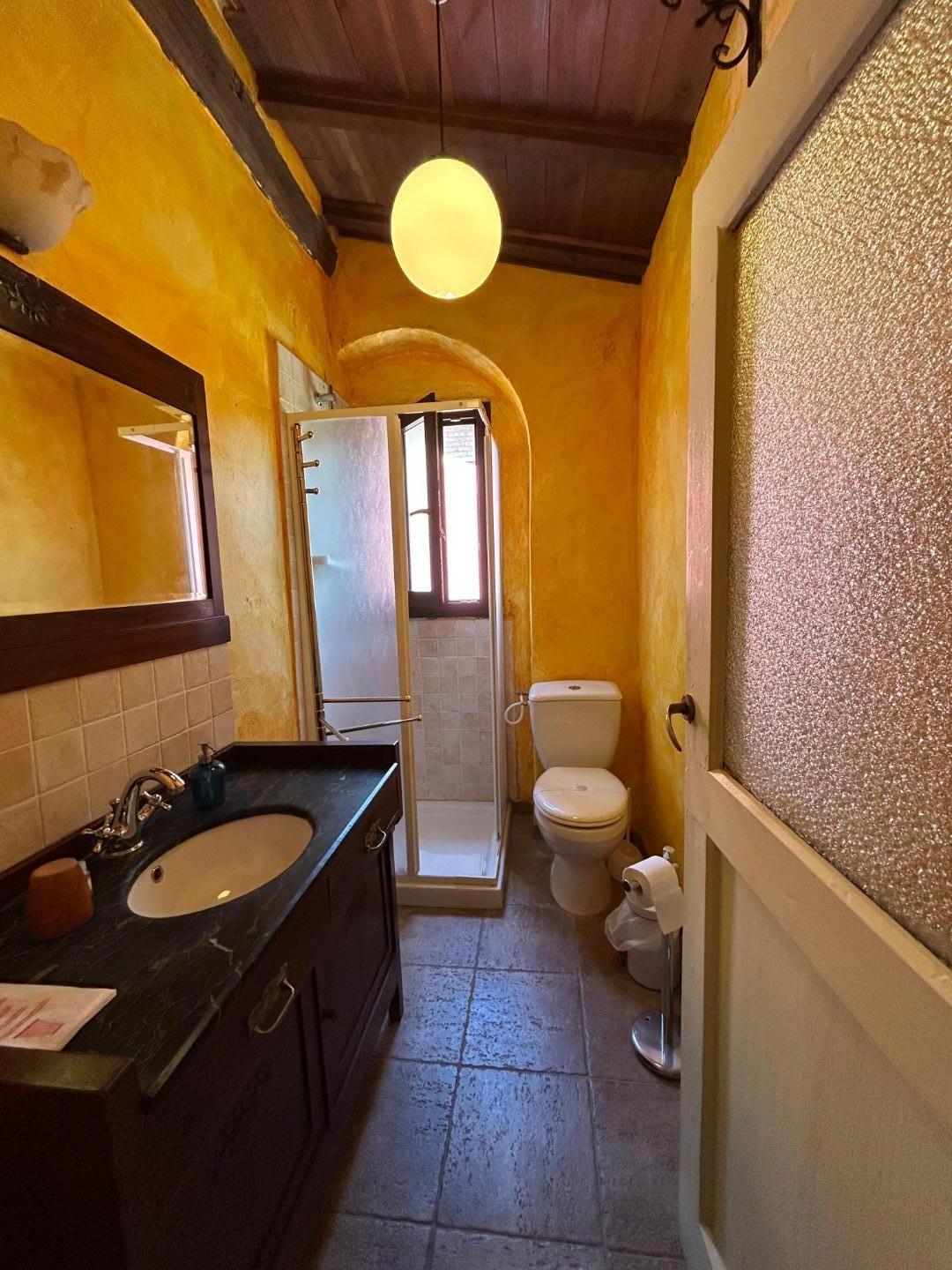 Immagine 26 di Casa colonica in vendita  a Carmignano