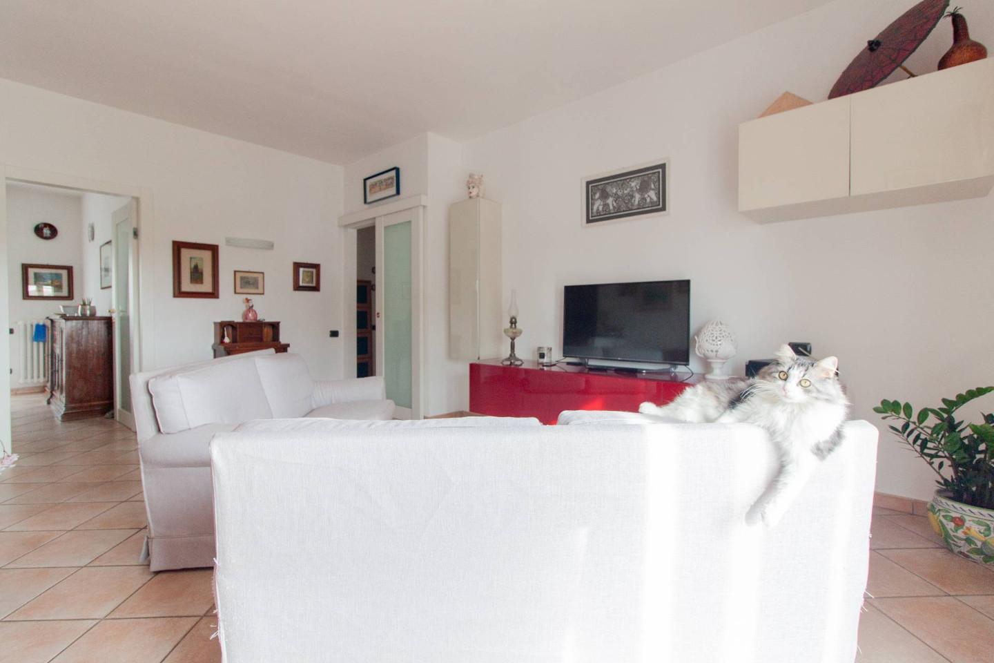 Immagine 4 di Appartamento in vendita  a Pisa