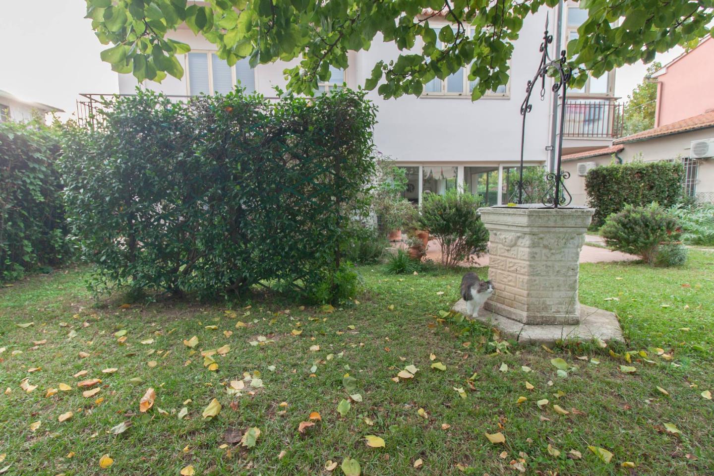 Immagine 35 di Appartamento in vendita  a Pisa