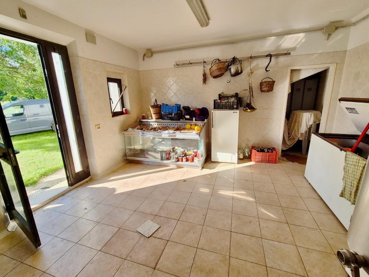 Foto annuncio 39