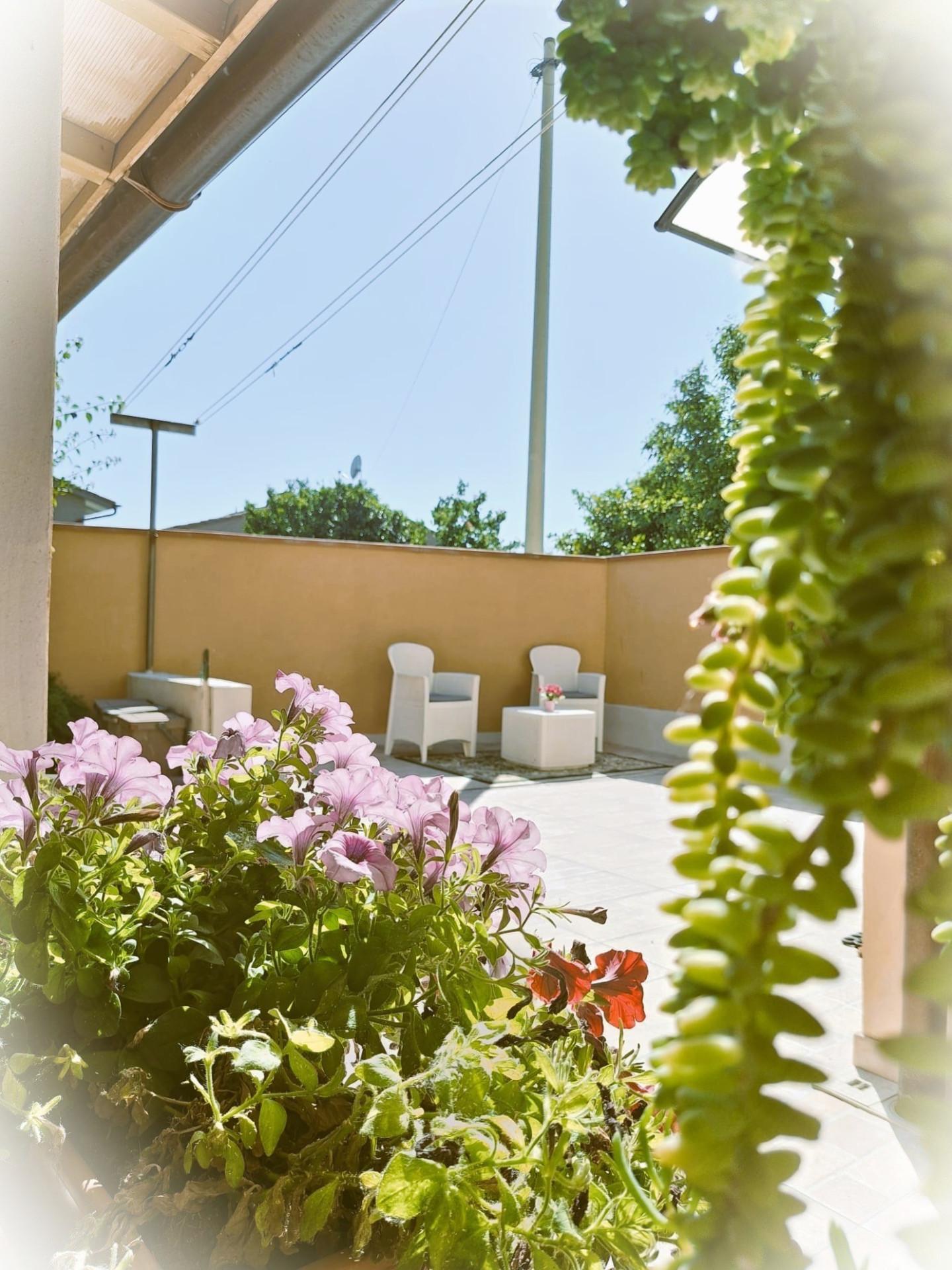 Foto annuncio 1