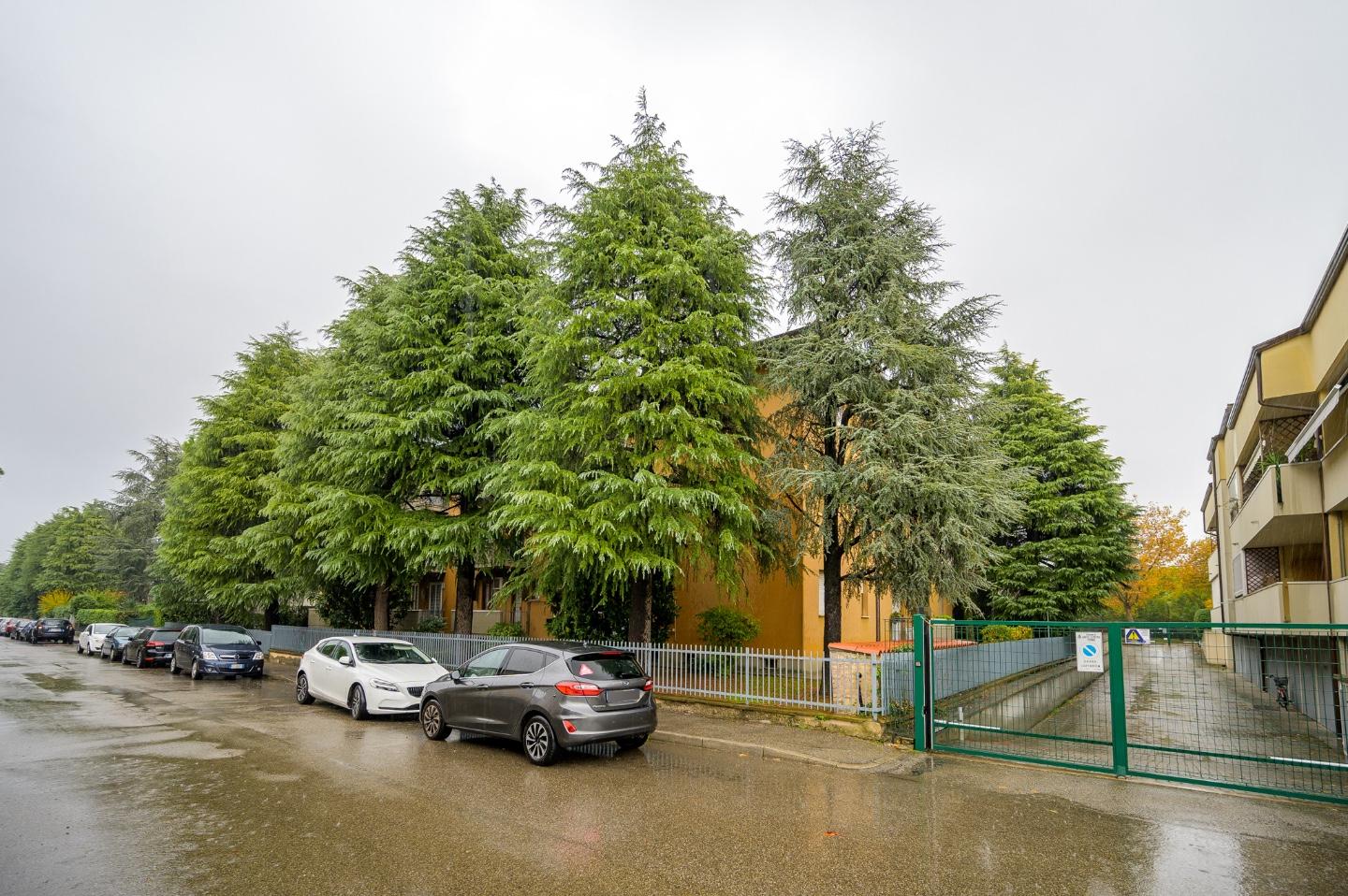 Immagine 24 di Appartamento in vendita  a Castel San Pietro Terme