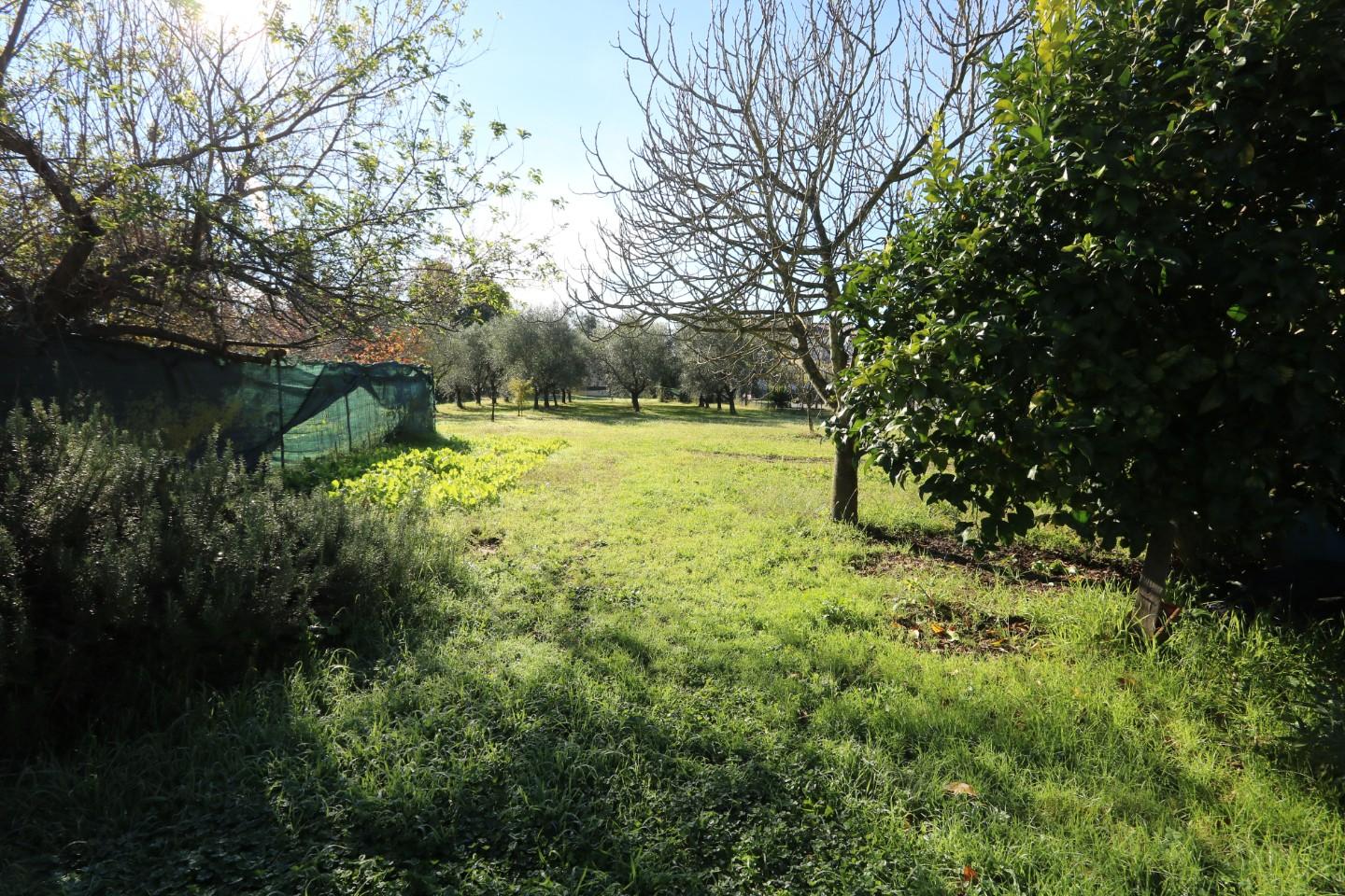 Foto annuncio 14