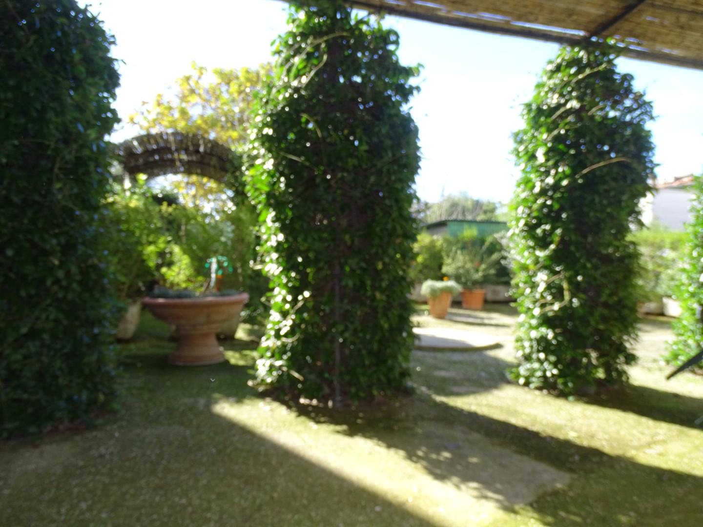 Foto annuncio 1