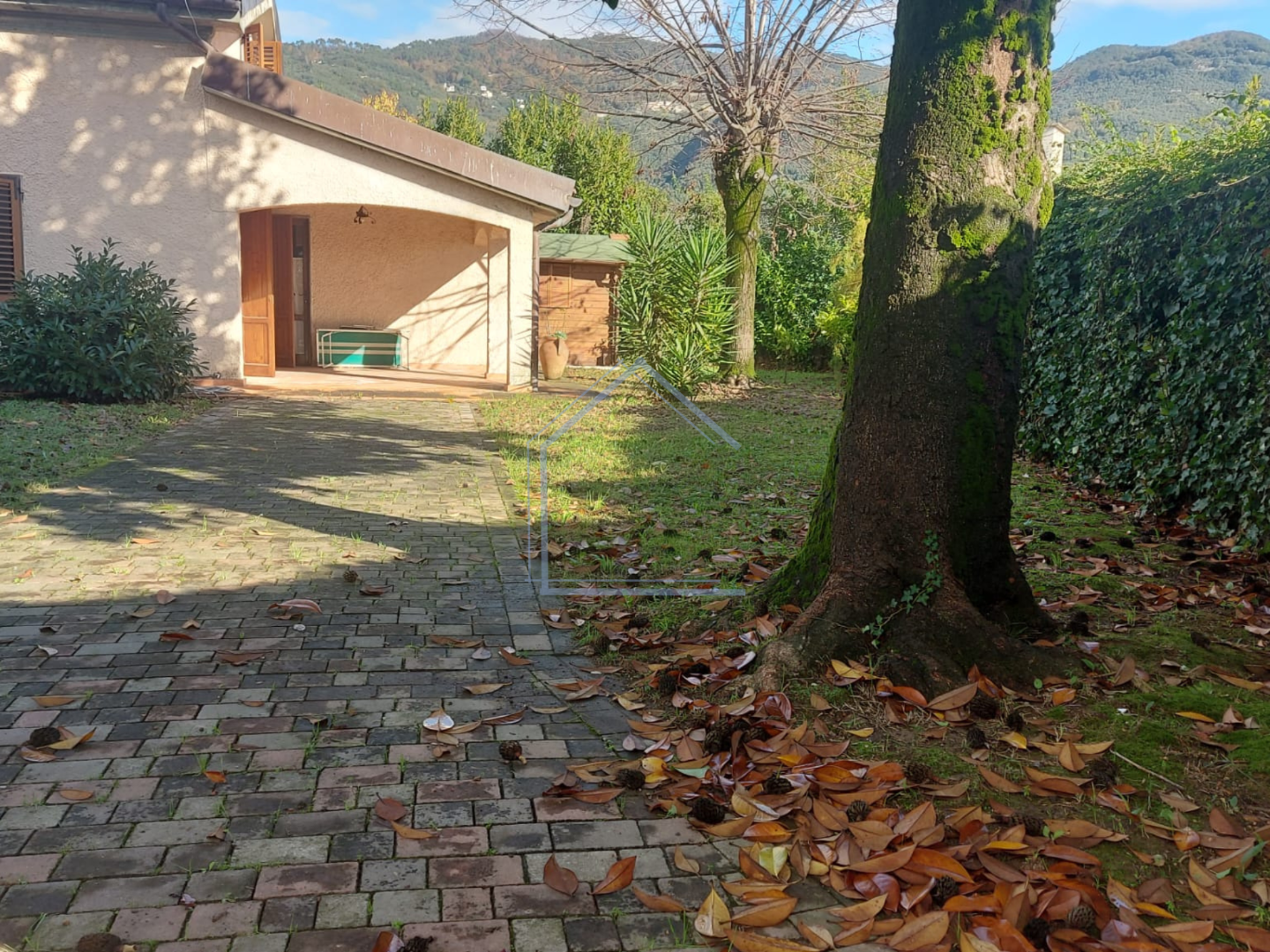Foto annuncio 2