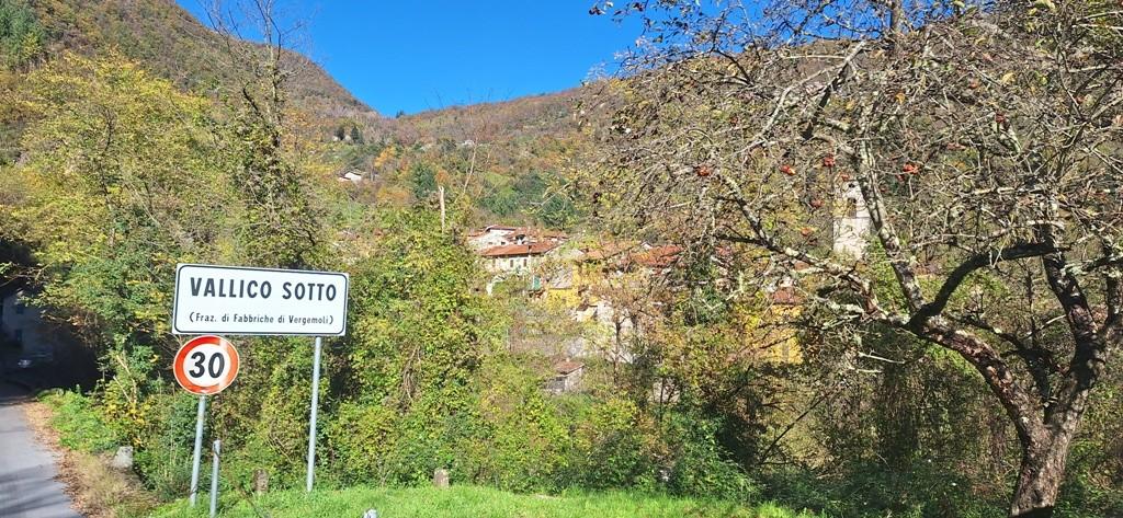 Foto annuncio 41