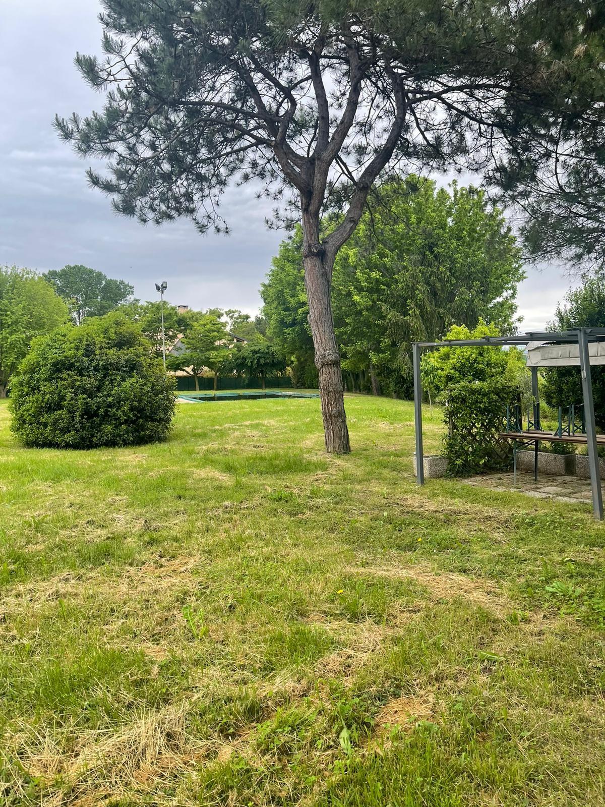 Foto annuncio 9