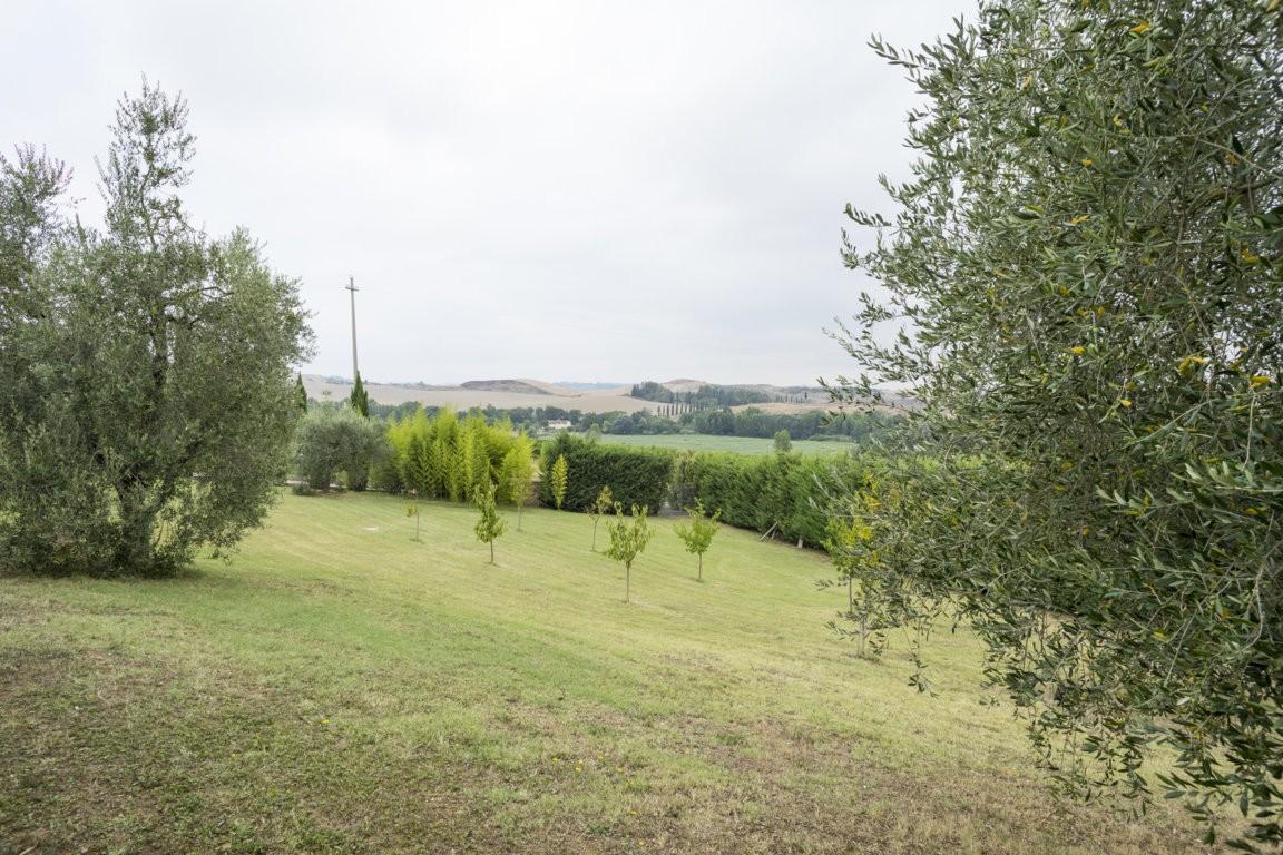 Foto annuncio 29