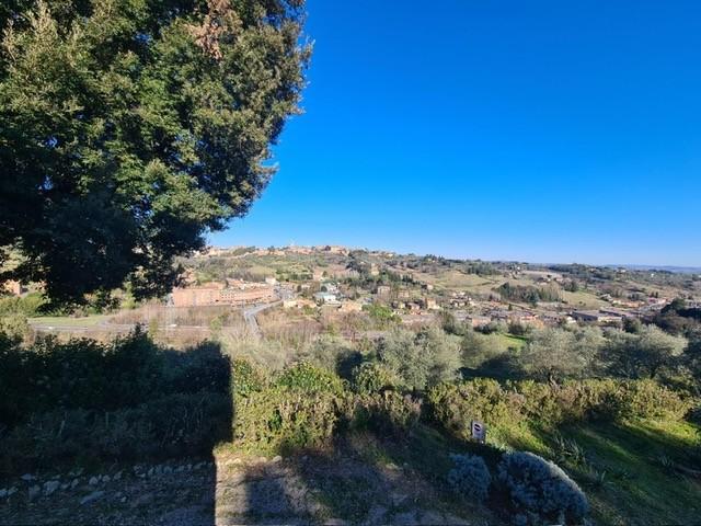 Foto annuncio 23