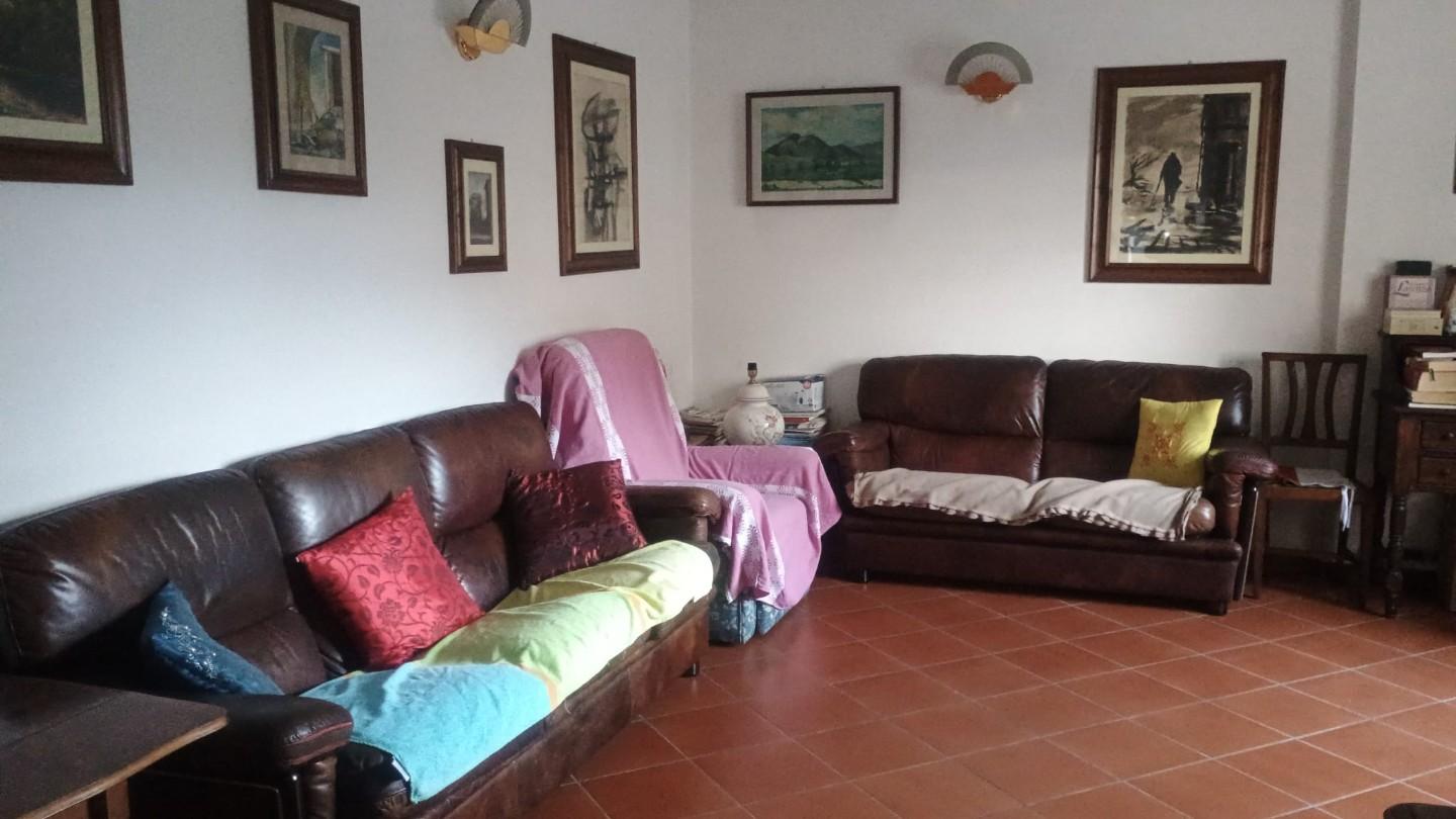 Foto annuncio 6