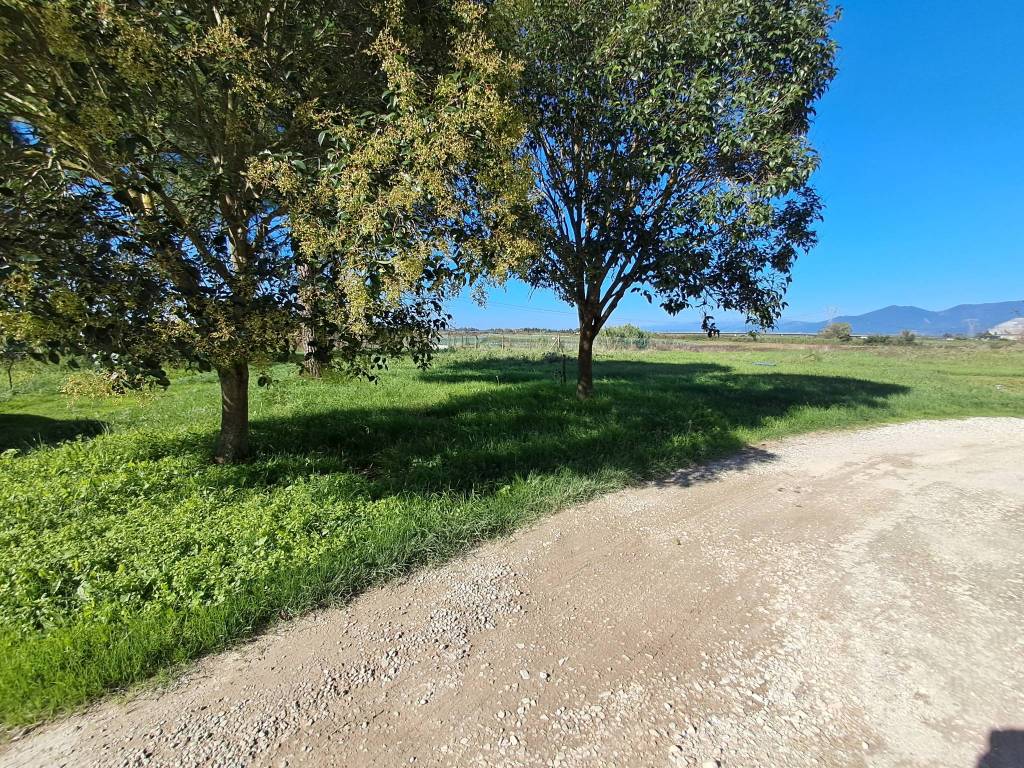 Immagine 1 di Casa indipendente in vendita  a Crespina Lorenzana