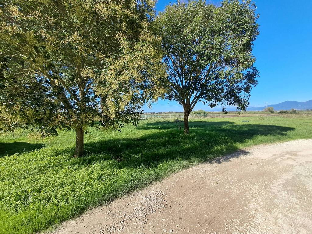 Immagine 29 di Casa indipendente in vendita  a Crespina Lorenzana