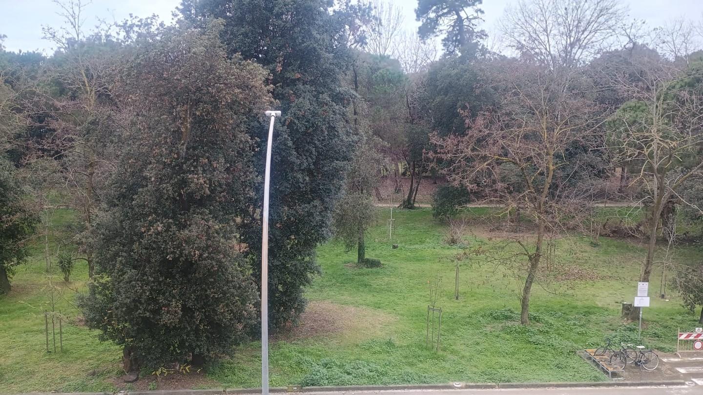 Foto annuncio 21