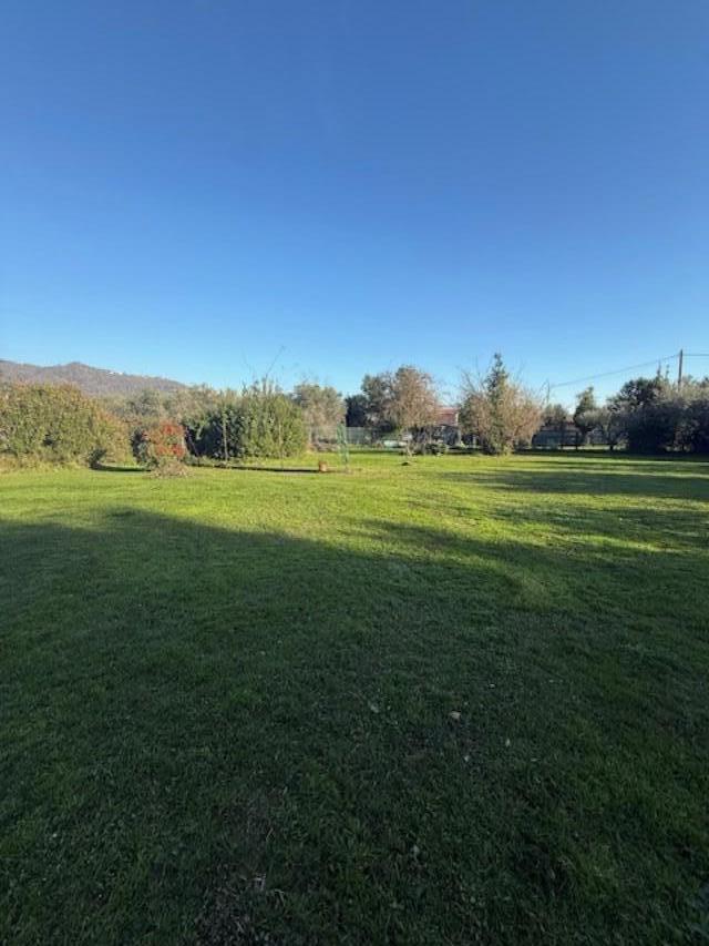 Foto annuncio 2