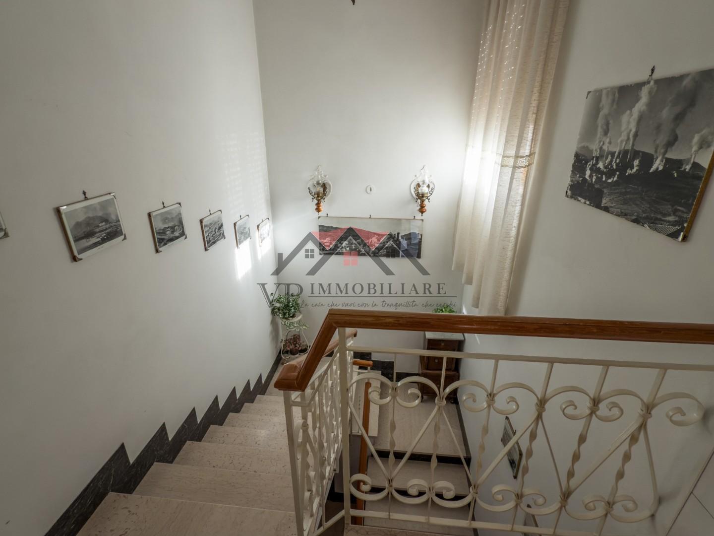 Foto annuncio 33