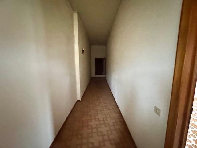Foto annuncio 24