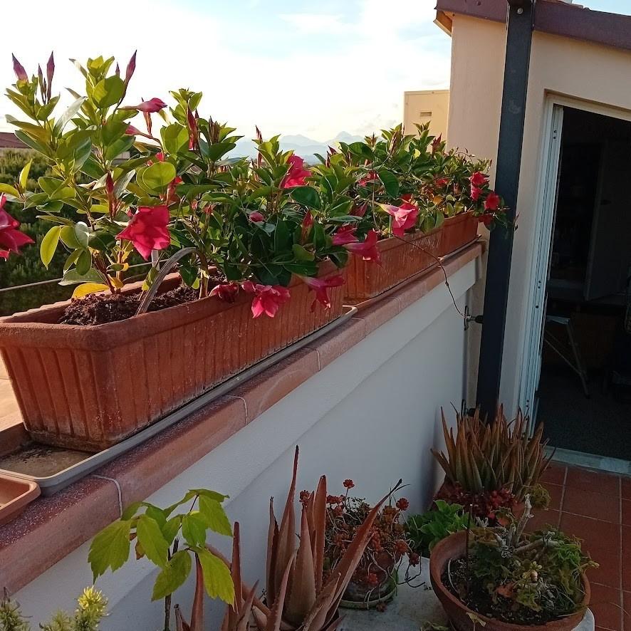 Foto annuncio 3
