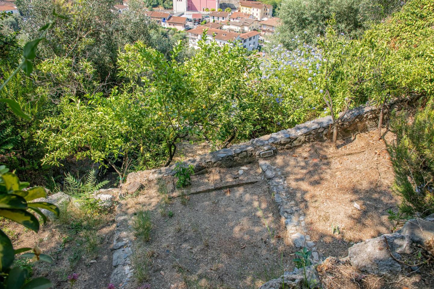 Foto annuncio 13