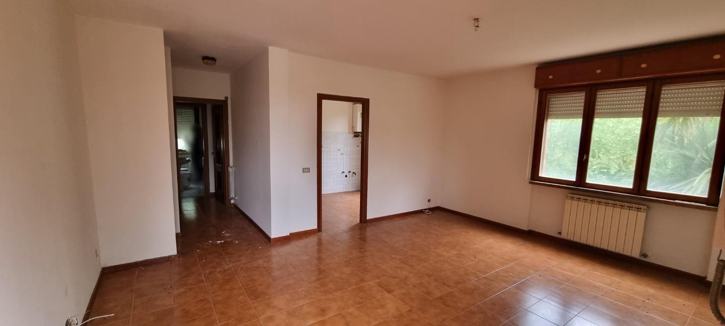 Foto annuncio 11