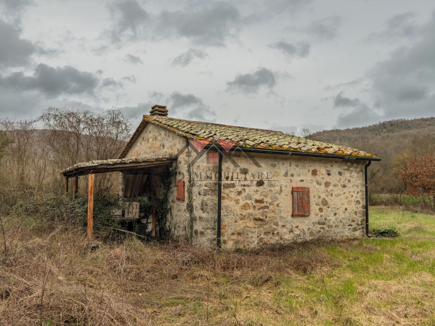 Foto annuncio 5