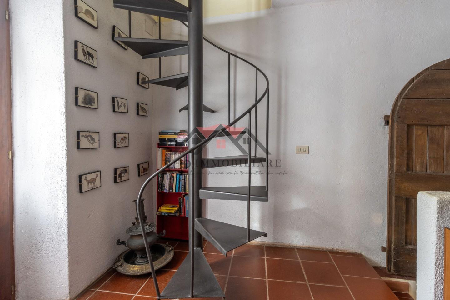 Foto annuncio 47