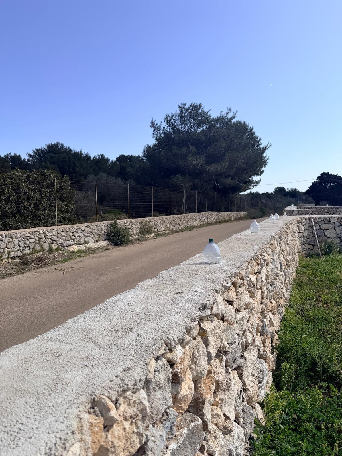 Foto annuncio 7