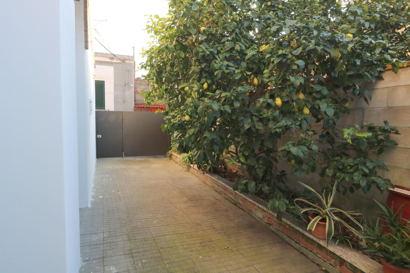 Foto annuncio 17