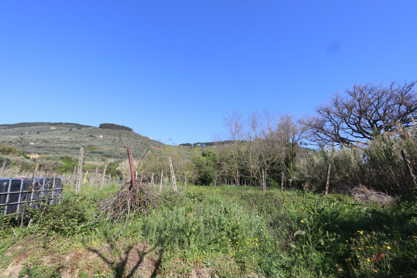 Foto annuncio 24