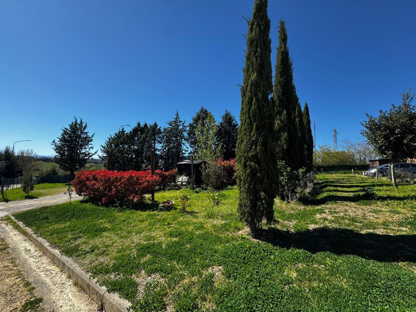 Foto annuncio 35