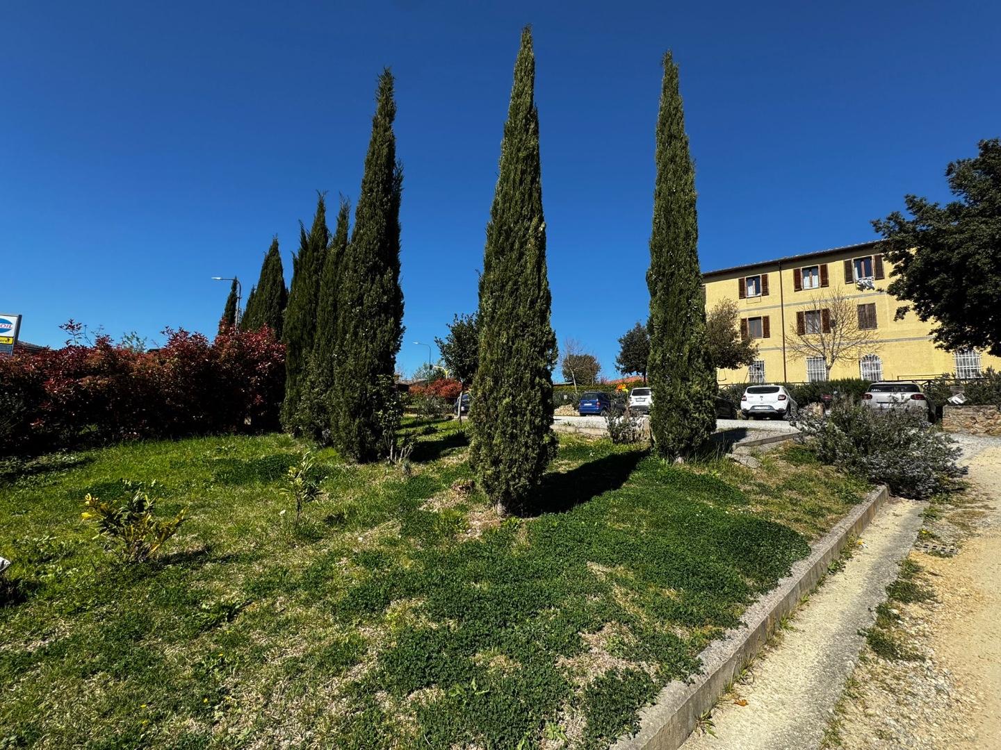 Foto annuncio 36