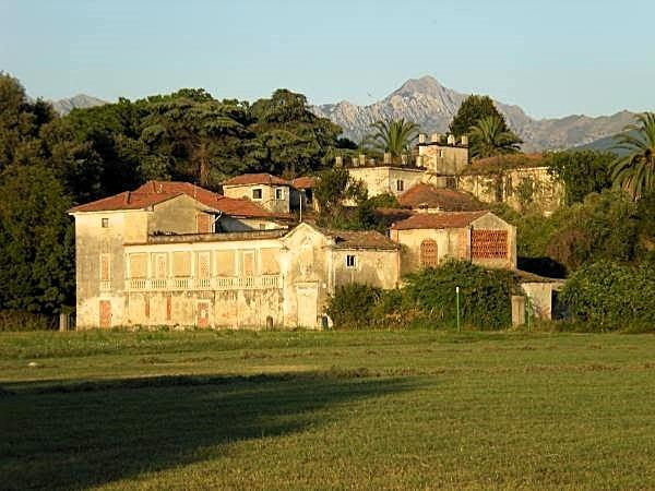 Foto annuncio 1