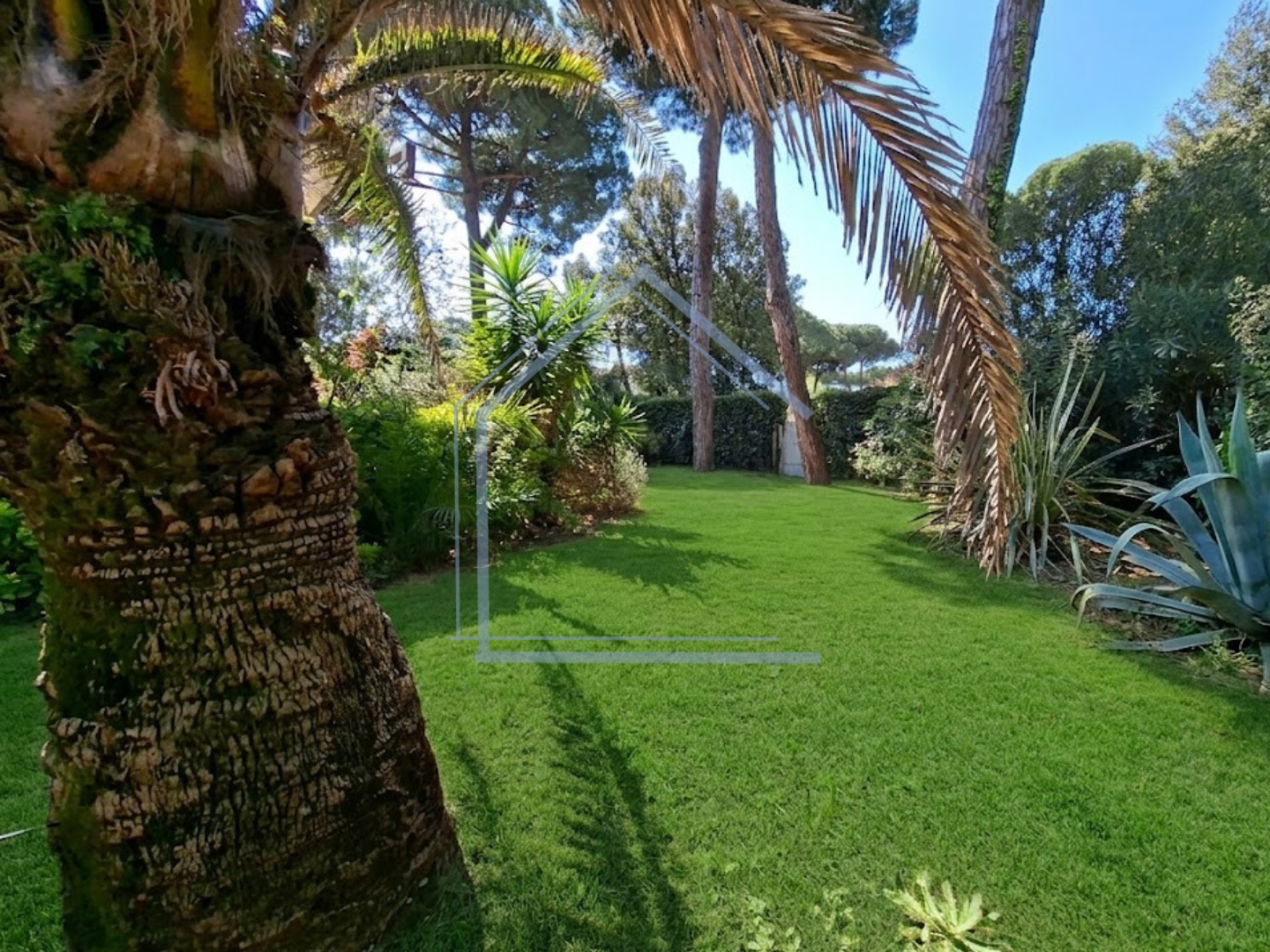 Foto annuncio 1