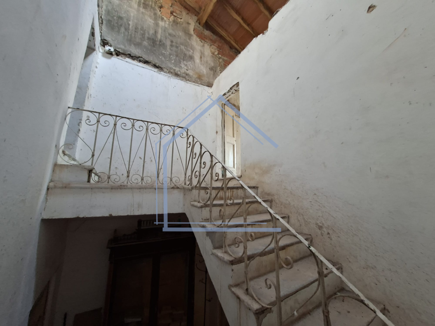 Foto annuncio 11