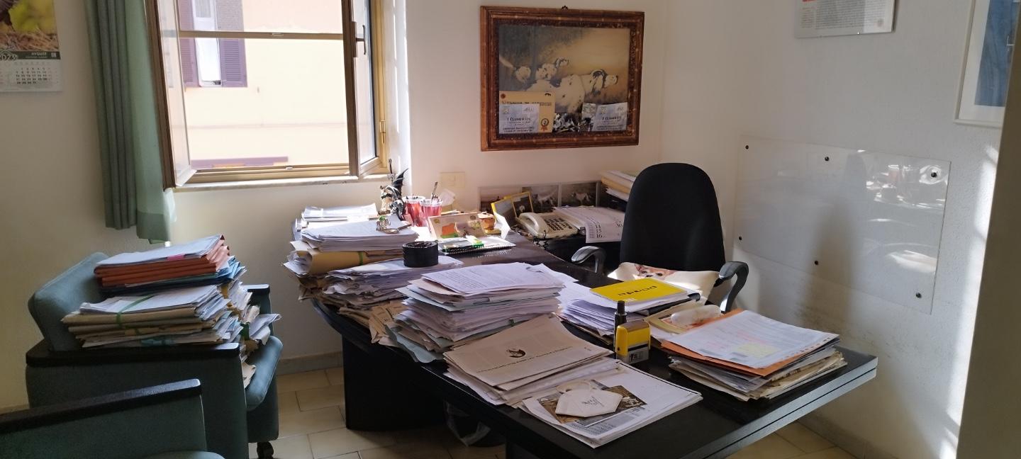 Foto annuncio 3