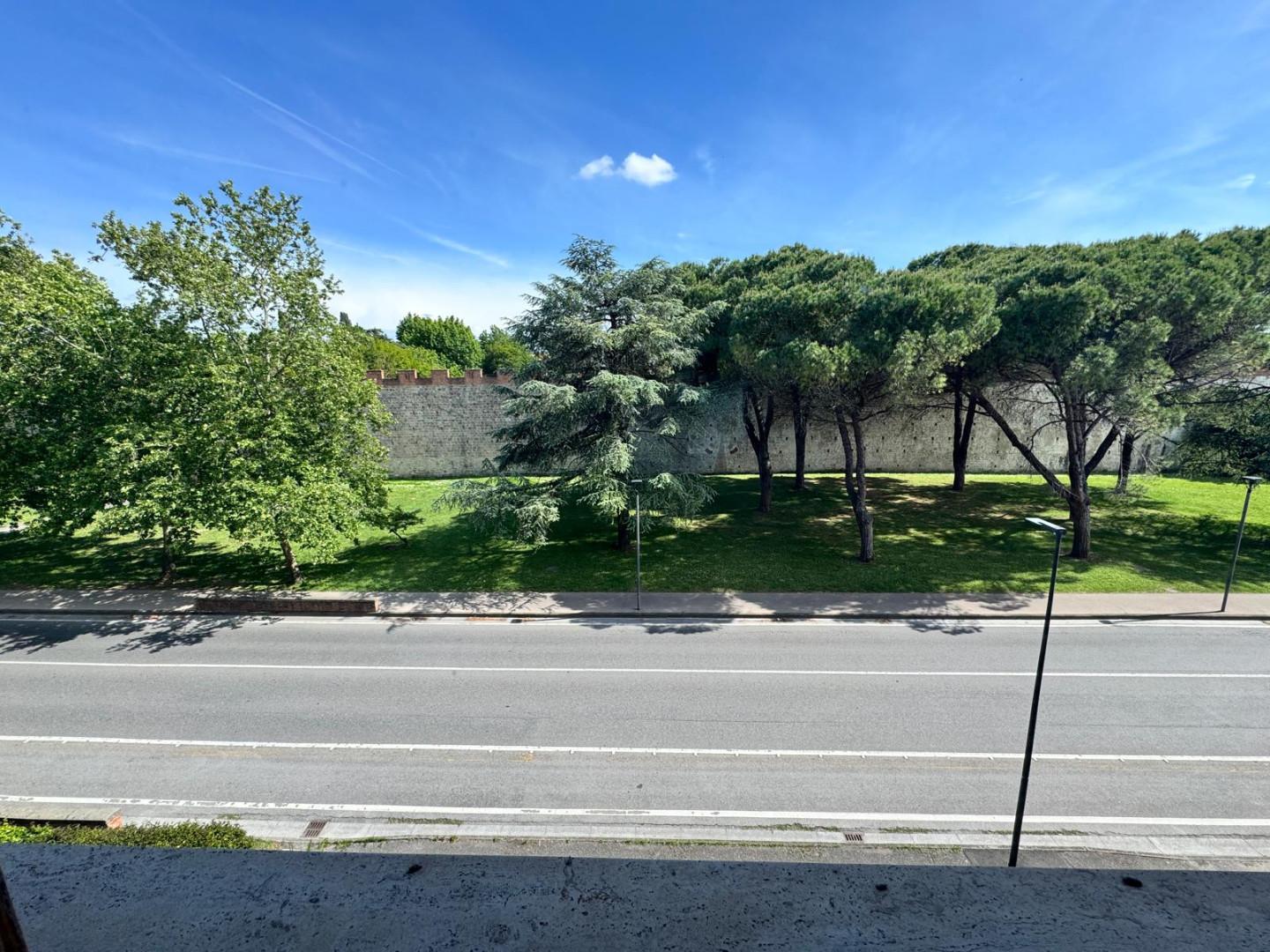 Foto annuncio 18