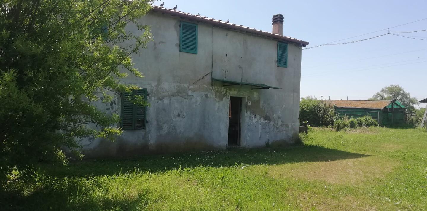 Foto annuncio 7