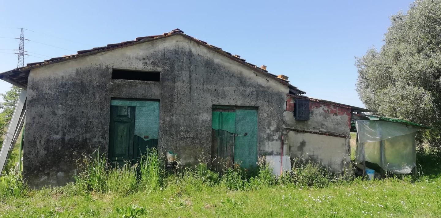 Foto annuncio 11