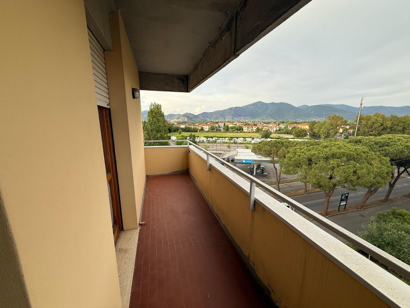 Foto annuncio 5