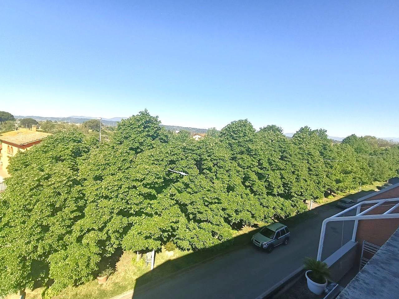 Foto annuncio 24
