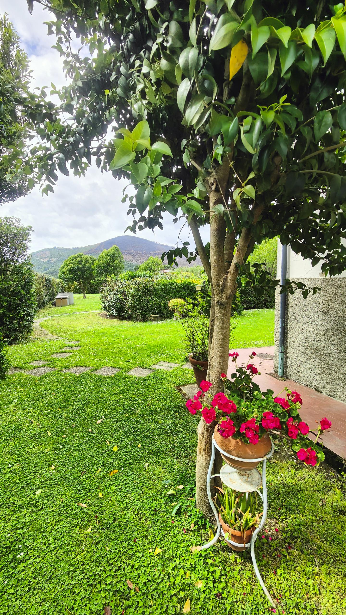 Foto annuncio 8